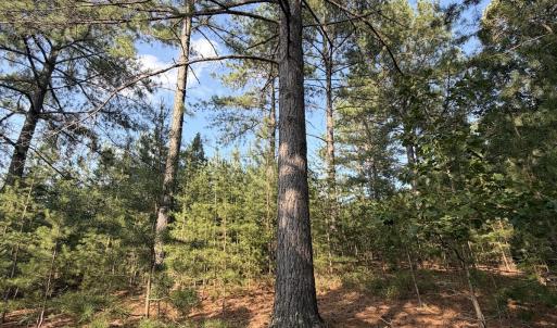Photo #21 of Lot 98A Greenberry DR, Pittsville, VA 1.9 acres