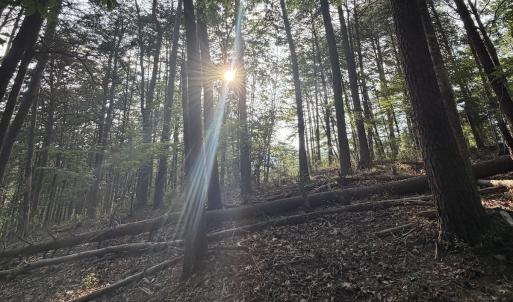 Photo #22 of Lot 98A Greenberry DR, Pittsville, VA 1.9 acres