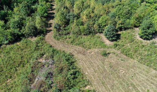 Photo #12 of 4200 Diamond Hill RD , Moneta, VA 18.0 acres