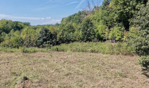 Photo #13 of 4200 Diamond Hill RD , Moneta, VA 18.0 acres