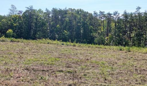 Photo #15 of 4200 Diamond Hill RD , Moneta, VA 18.0 acres