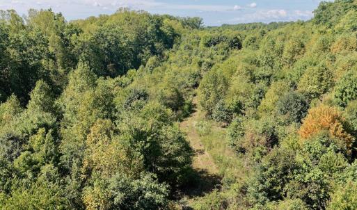Photo #16 of 4200 Diamond Hill RD , Moneta, VA 18.0 acres