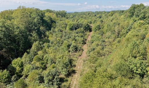 Photo #19 of 4200 Diamond Hill RD , Moneta, VA 18.0 acres