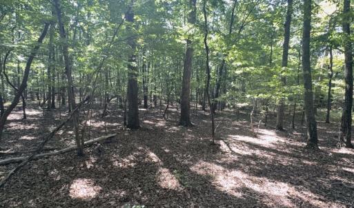 Photo #2 of Off of Flat Swamp Rd, Denton, NC 18.5 acres
