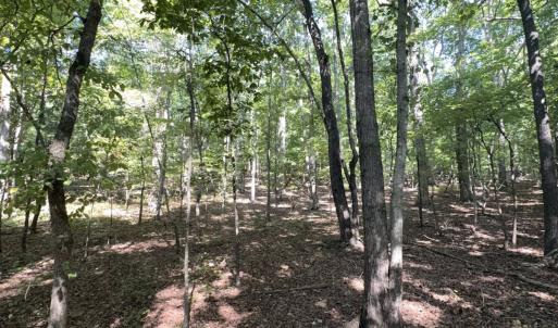 Photo #8 of Off of Flat Swamp Rd, Denton, NC 18.5 acres