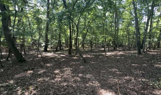 Photo #9 of Off of Flat Swamp Rd, Denton, NC 18.5 acres