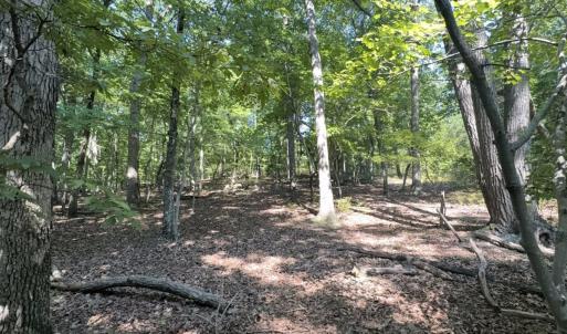 Photo #10 of Off of Flat Swamp Rd, Denton, NC 18.5 acres
