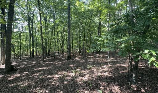 Photo #11 of Off of Flat Swamp Rd, Denton, NC 18.5 acres