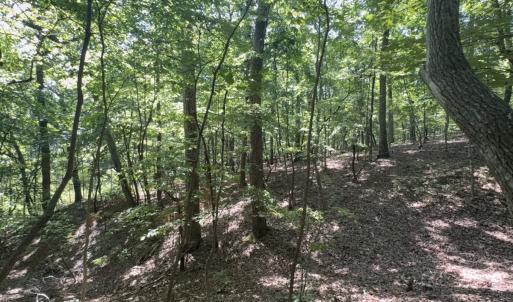 Photo #18 of Off of Flat Swamp Rd, Denton, NC 18.5 acres