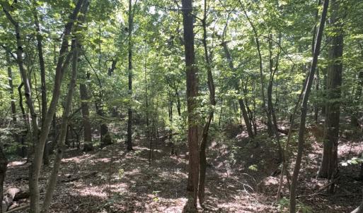 Photo #19 of Off of Flat Swamp Rd, Denton, NC 18.5 acres