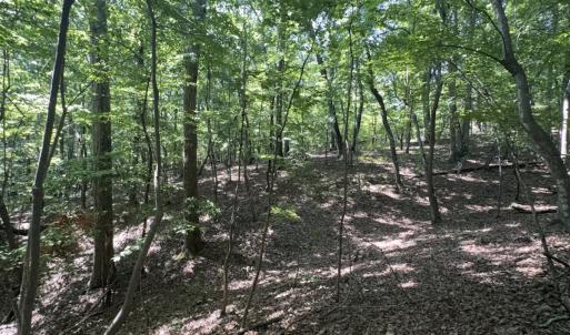 Photo #20 of Off of Flat Swamp Rd, Denton, NC 18.5 acres
