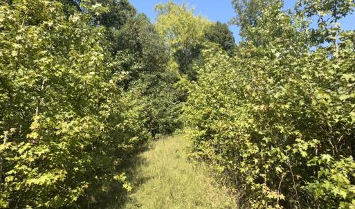 Photo #25 of Off of Flat Swamp Rd, Denton, NC 18.5 acres