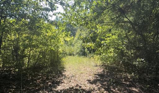 Photo #26 of Off of Flat Swamp Rd, Denton, NC 18.5 acres