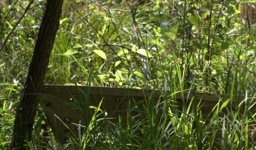 Photo #30 of Off of Flat Swamp Rd, Denton, NC 18.5 acres