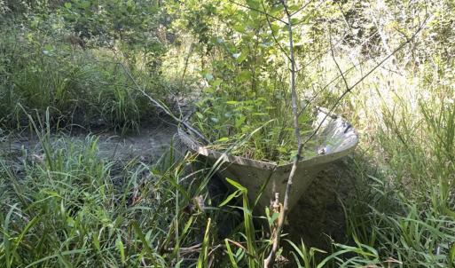 Photo #34 of Off of Flat Swamp Rd, Denton, NC 18.5 acres