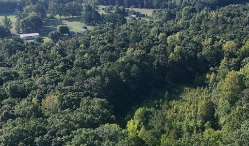 Photo #38 of Off of Flat Swamp Rd, Denton, NC 18.5 acres