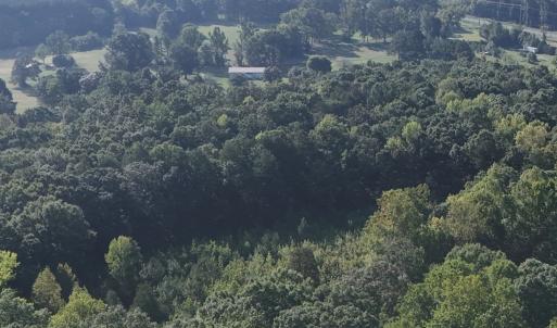 Photo #40 of Off of Flat Swamp Rd, Denton, NC 18.5 acres