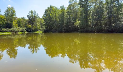 Photo #2 of Off of Park Springs Road, Ruffin, NC 26.4 acres
