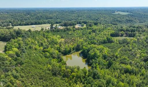 Photo #4 of Off of Park Springs Road, Ruffin, NC 26.4 acres