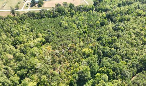 Photo #5 of Off of Park Springs Road, Ruffin, NC 26.4 acres