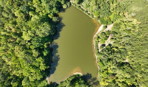 Photo #8 of Off of Park Springs Road, Ruffin, NC 26.4 acres