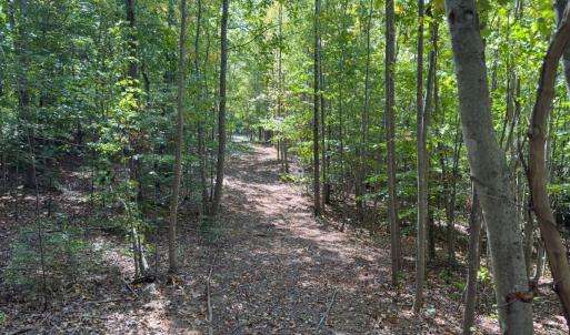 Photo #10 of Off of Park Springs Road, Ruffin, NC 26.4 acres