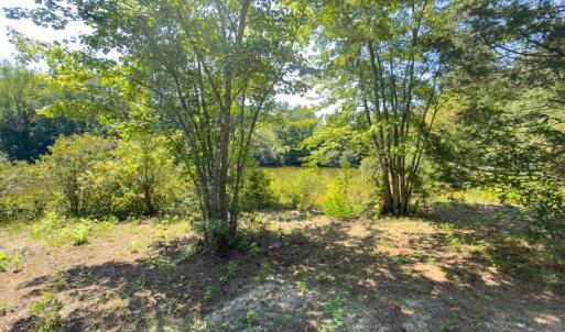 Photo #11 of Off of Park Springs Road, Ruffin, NC 26.4 acres