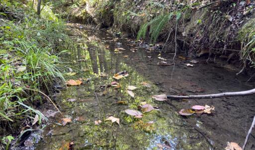 Photo #14 of Off of Park Springs Road, Ruffin, NC 26.4 acres