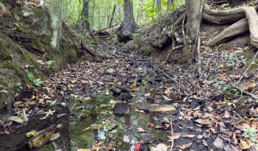 Photo #19 of Off of Park Springs Road, Ruffin, NC 26.4 acres