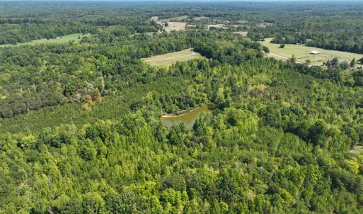 Photo #21 of Off of Park Springs Road, Ruffin, NC 26.4 acres