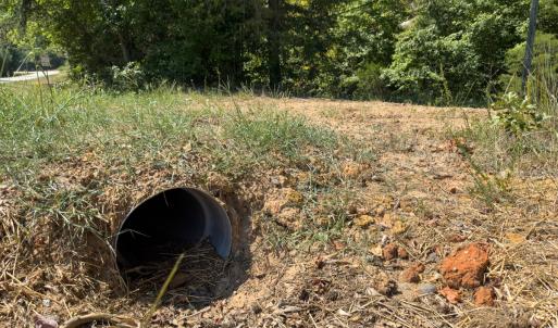 Photo #22 of Off of Park Springs Road, Ruffin, NC 26.4 acres