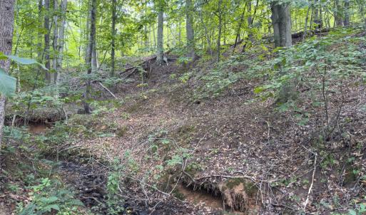 Photo #23 of Off of Park Springs Road, Ruffin, NC 26.4 acres