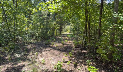 Photo #31 of Off of Park Springs Road, Ruffin, NC 26.4 acres