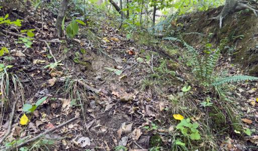 Photo #36 of Off of Park Springs Road, Ruffin, NC 26.4 acres