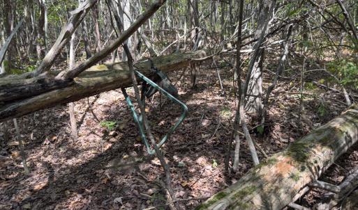 Photo #37 of Off of Park Springs Road, Ruffin, NC 26.4 acres