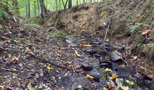 Photo #39 of Off of Park Springs Road, Ruffin, NC 26.4 acres