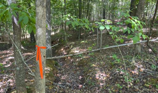 Photo #42 of Off of Park Springs Road, Ruffin, NC 26.4 acres