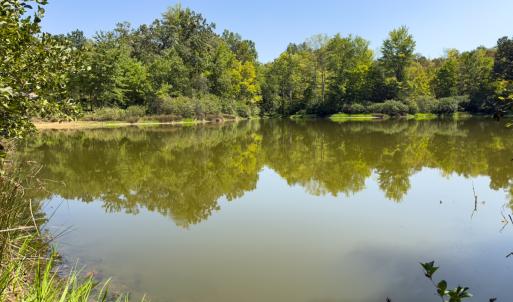 Photo #44 of Off of Park Springs Road, Ruffin, NC 26.4 acres
