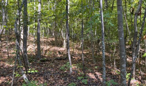 Photo #48 of Off of Park Springs Road, Ruffin, NC 26.4 acres