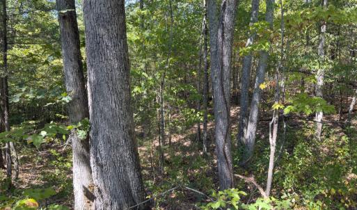 Photo #52 of Off of Park Springs Road, Ruffin, NC 26.4 acres