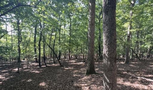Photo #6 of Off of Flat Swamp Rd, Denton, NC 18.5 acres