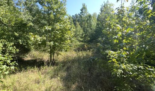 Photo #22 of Off of Flat Swamp Rd, Denton, NC 18.5 acres
