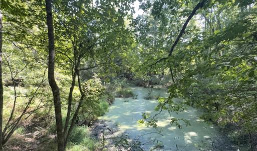 Photo #27 of Off of Flat Swamp Rd, Denton, NC 18.5 acres