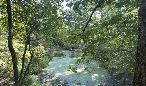 Photo #28 of Off of Flat Swamp Rd, Denton, NC 18.5 acres