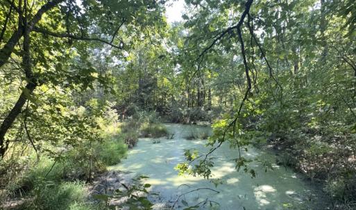 Photo #29 of Off of Flat Swamp Rd, Denton, NC 18.5 acres