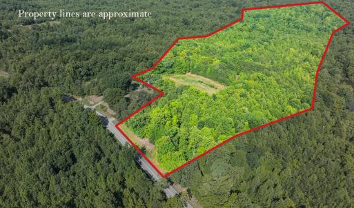 Photo #1 of Off of Park Springs Road, Ruffin, NC 49.4 acres