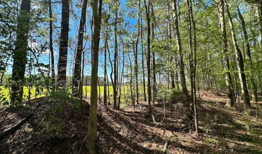 Photo #11 of Off of Benefit Rd, Chesapeake, VA 42.4 acres