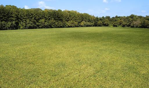 Photo #12 of Off of Benefit Rd, Chesapeake, VA 42.4 acres