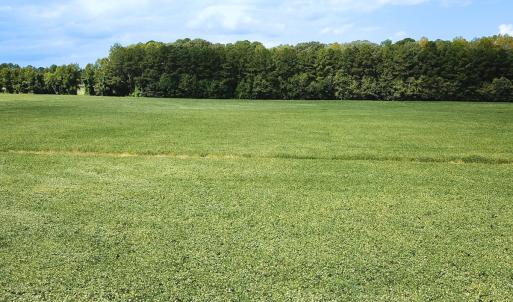 Photo #14 of Off of Benefit Rd, Chesapeake, VA 42.4 acres