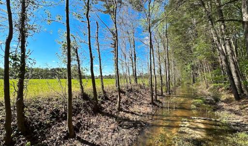 Photo #16 of Off of Benefit Rd, Chesapeake, VA 42.4 acres